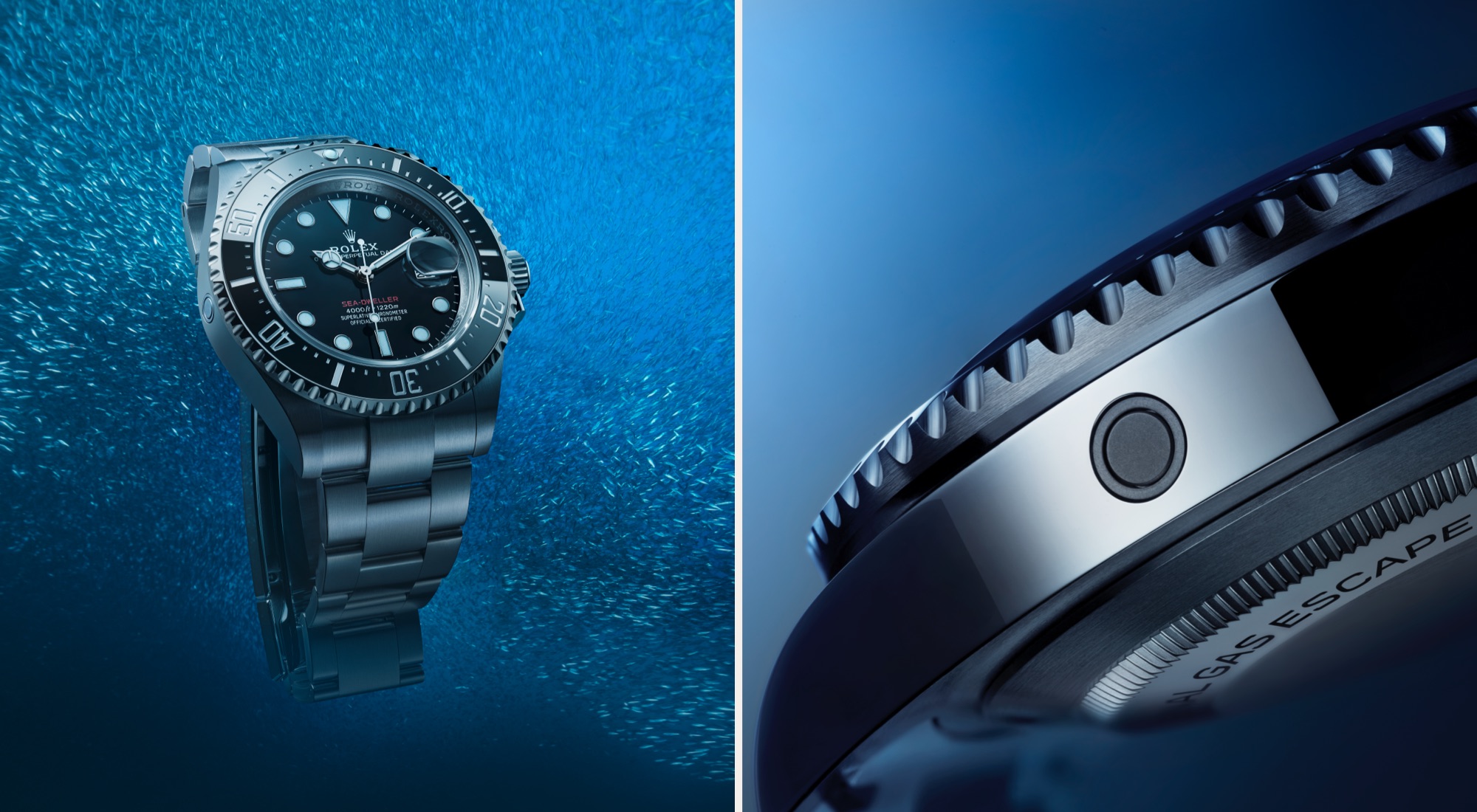 Rolex Sea-Dweller腕錶-寶鴻堂鐘表