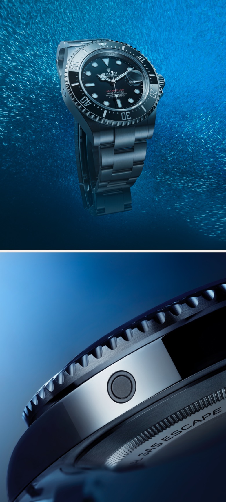 Rolex Sea-Dweller腕錶-寶鴻堂鐘表